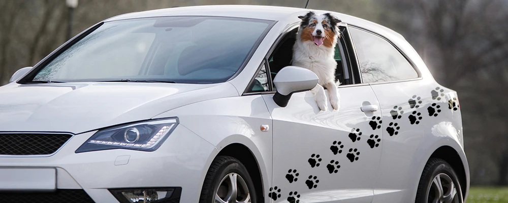Autoaufkleber mit Tiermotiven