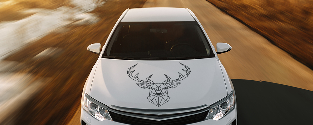 Autoaufkleber für Motorhaube mit Tiermotiven