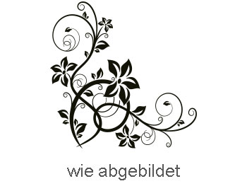 was heißt gespiegelt