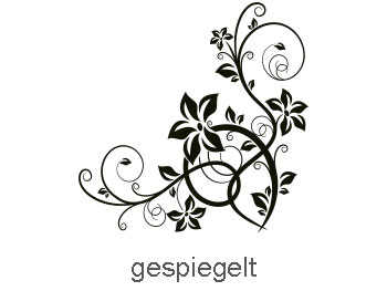 was heißt gespiegelt