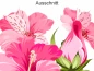 Preview: Autoaufkleber Blüten Set Hibiskus - Ansicht Ausschnitt