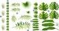Preview: Autoaufkleber Dschungel Pflanzenset zur individuellen Platzierung