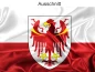 Preview: Autoaufkleber Flagge von Südtirol- Ansicht Ausschnitt