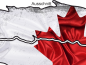 Preview: Autodekor Kanadische Flagge - Ansicht Ausschnitt