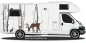 Preview: Camperaufkleber Birkenwald auf Wohnmobil Preview: Camperaufkleber Birkenwald auf Wohnmobil