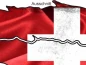 Preview: Klebefolie für Wohnmobil Schweiz - Ansicht Ausschnitt