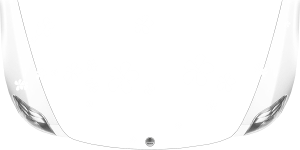 Autofolien Blumen Set auf heller Motorhaube -  Ansicht Farbauswahl