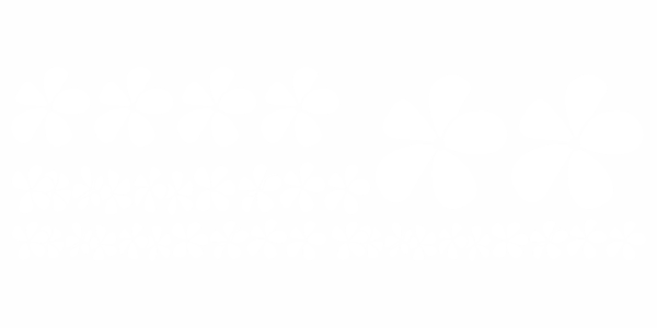 Autofolien Blumen Set - Frei platzierbare Elemente und Farbauswahl