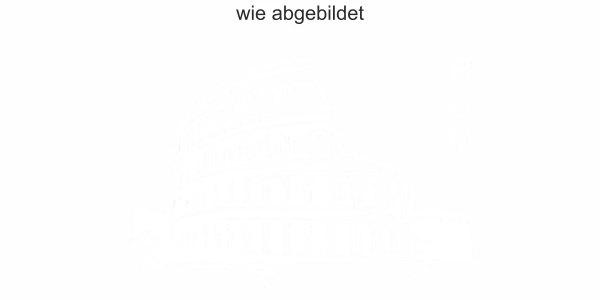 Wohnmobilaufkleber Rom - Ansicht Ausrichtung und Farbauswahl