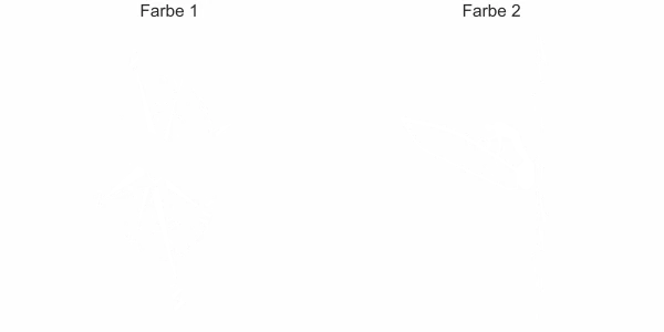 Heckscheibenaufkleber Windsurfer mit Kompassrose