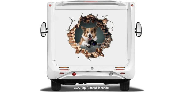 Hunde Aufkleber Loch in der Steinwand mit Eigenem Foto auf dem Heck von Wohnmobil oder Wohnwagen