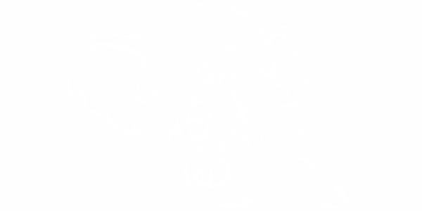 Preview: Motorhaubenaufkleber Elefant Preview: Motorhaubenaufkleber Elefant