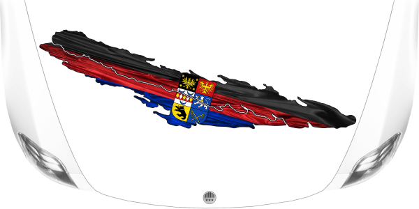 Die ostfriesische Flagge auf heller Motorhaube