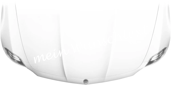 Autoaufkleber Wunschtext | 6