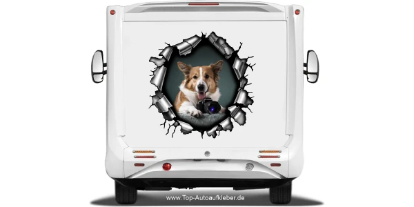 Aufkleber Loch im Metall mit Eigenem Hundefoto auf dem Heck von Wohnmobil oder Wohnwagen