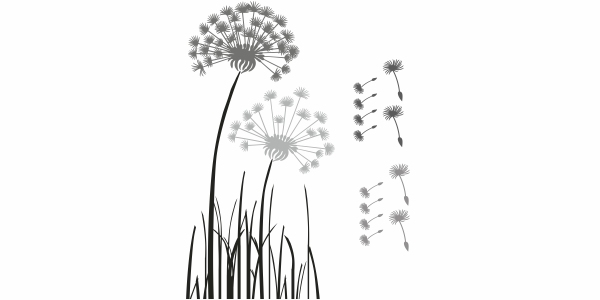Motorhaubenaufkleber Bunte Pusteblume