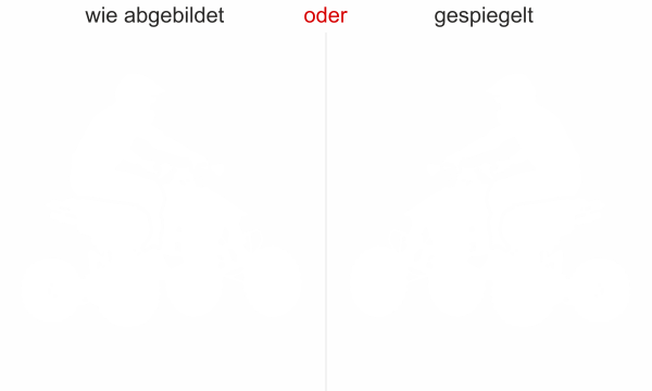 Aufkleber Quad Motorhaube
