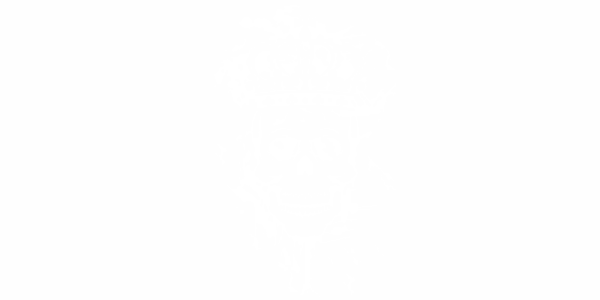 Preview: Totenkopf König