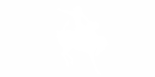 Preview: Rodeo Heckscheiben Aufkleber