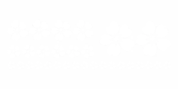 Autoaufkleber Blumen Set - Frei platzierbare Elemente und Farbauswahl