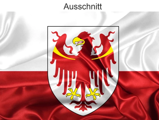 Autoaufkleber Flagge von Südtirol- Ansicht Ausschnitt
