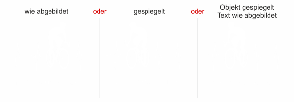 Preview: Autoaufkleber Motorhaube Rennrad