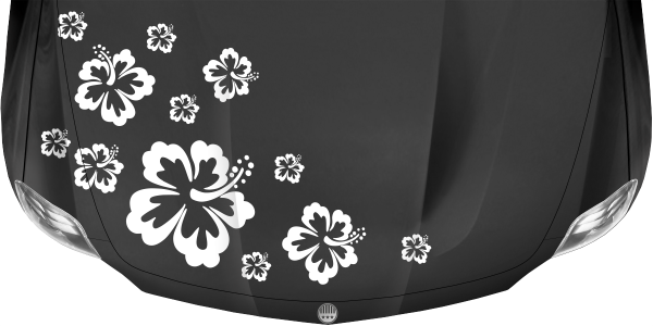 Autoaufkleber Hibiskus Blüten auf dunkler Motorhaube - Ansicht Farbauswahl