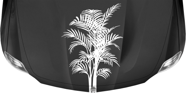 Preview: Autoaufkleber Motorhaube Palmwedel Preview: Autoaufkleber Motorhaube Palmwedel