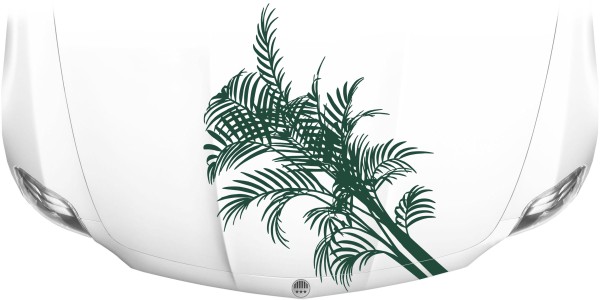 Dekor für die Motorhaube mit Palmwedel