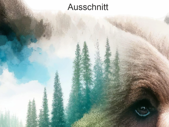 Preview: Autoaufkleber Naturdesign Braunbär Preview: Autoaufkleber Naturdesign Braunbär