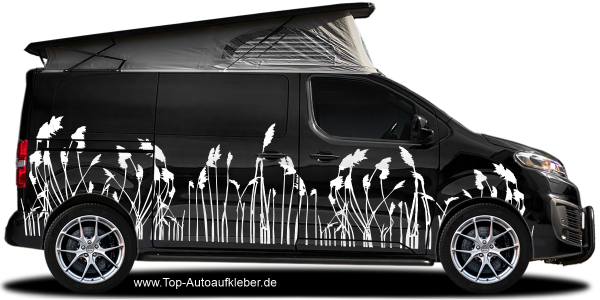 Preview: Autoaufkleber Naturgräser | Set für beide Fahrzeugseiten Preview: Autoaufkleber Naturgräser | Set für beide Fahrzeugseiten