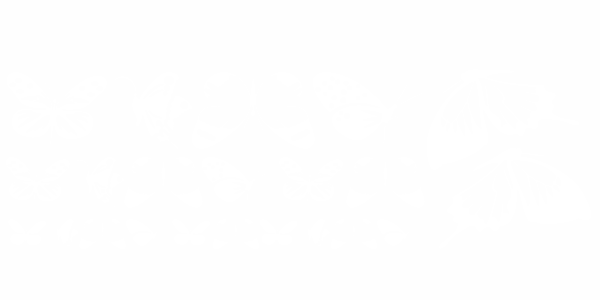 Autoaufkleber Set Schmetterlinge | Frei platzierbares Set