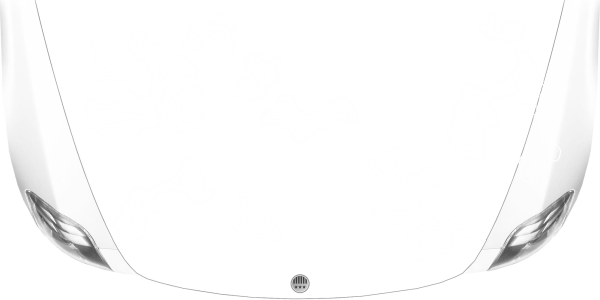 Preview: Autoaufkleber Set Topographie auf Motorhaube von Wohnmobil oder Wohnwagen - Ansicht Farbauswahl