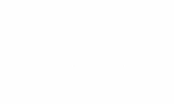 Autoaufkleber Strichzeichnung Bäume | Frei platzierbares Set