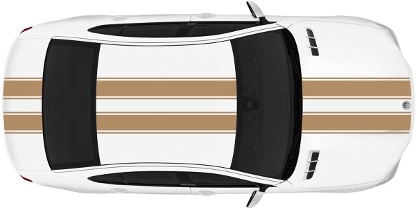 Tuning Autoaufkleber mit 21 cm Viperstreifen