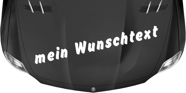 Preview: Autoaufkleber Wunschtext | 13