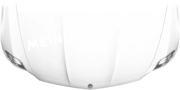 Autoaufkleber Wunschtext | 14
