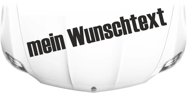 Autoaufkleber Wunschtext | 28