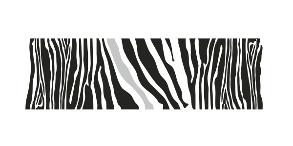 Autoaufkleber Zebra Design | Set für beide Fahrzeugseiten