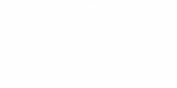 Preview: Autodekor Eidechse | Set für beide Fahrzeugseiten