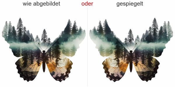 Autodekor Naturdesign Schmetterling- Ansicht Ausrichtung