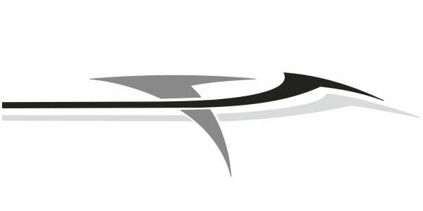 Preview: Autoaufkleber Streifen 04 | Set für beide Fahrzeugseiten