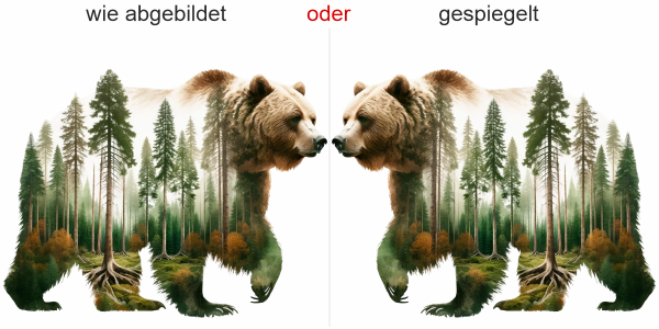 Preview: Autodekor Walddesign Grizzly Bär Preview: Autodekor Walddesign Grizzly Bär