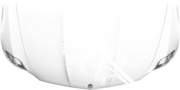 Preview: Autoaufkleber Motorhaube Palmwedel Preview: Autoaufkleber Motorhaube Palmwedel