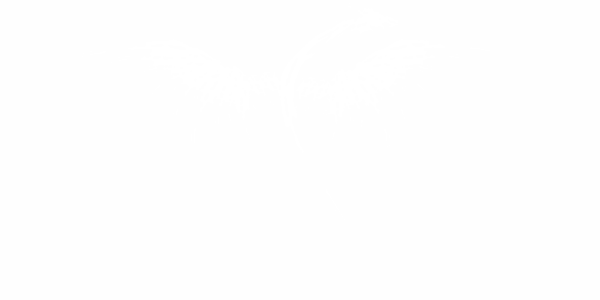 Preview: Autotattoo Motorhaube Drache Donoras