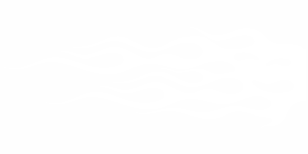 Preview: Autoaufkleber Flammen | Set für beide Fahrzeugseiten