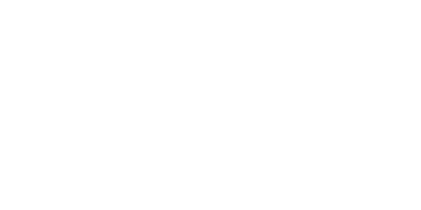 Preview: Motorhaubenaufkleber Vögel aus Feder