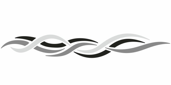 Autotattoo Tribal Ranke | Set für beide Fahrzeugseiten