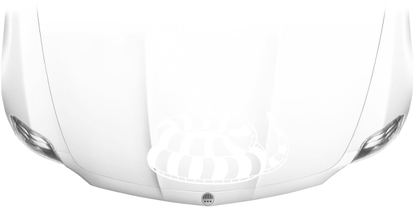 Preview: Autoaufkleber Viper