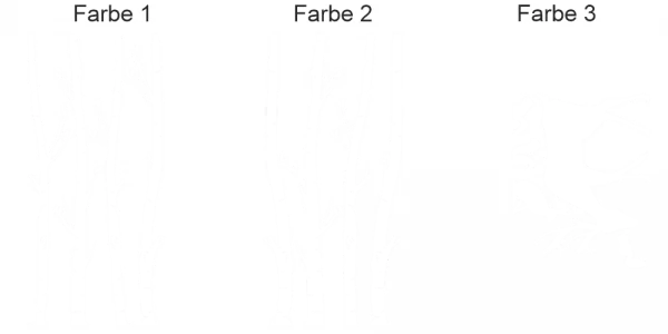 Camperaufkleber Birkenwald - Ansicht Farbauswahl